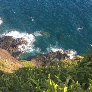 Meet your Posher, Kauanoe